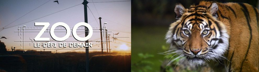 Série documentaire - 3 saisons (22 x 52 minutes)