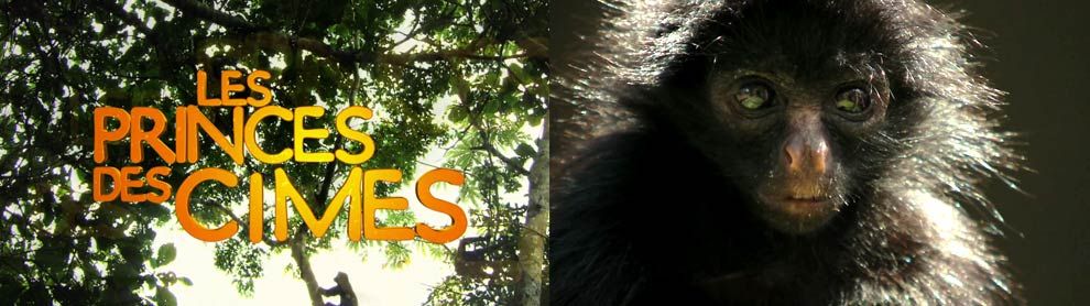 Etalonnage DaVinci (52mn + 11 x 1mn30)