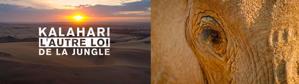 Série Documentaire 4K HDR de 3 x 52 minutes