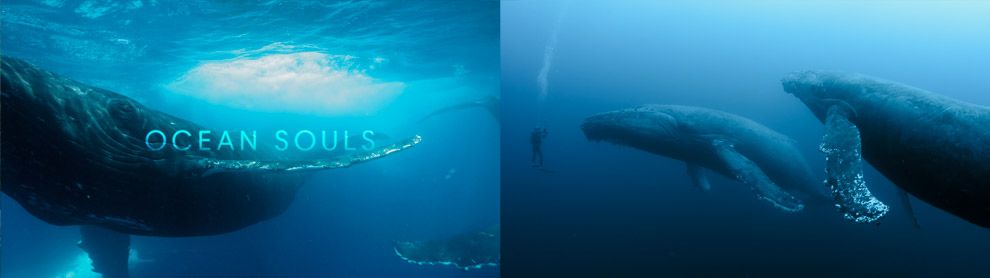 Long métrage documentaire 4K