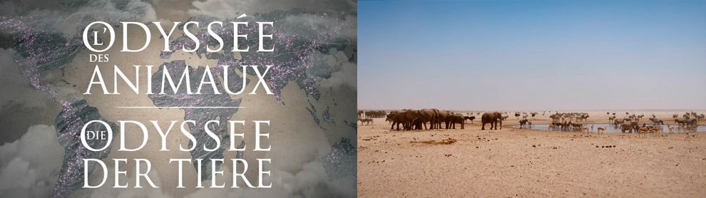 Série documentaire 4K HDR - 5 x 52 minutes