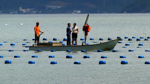 Thumbnail image for La cuisine de la mer de Florianopolis