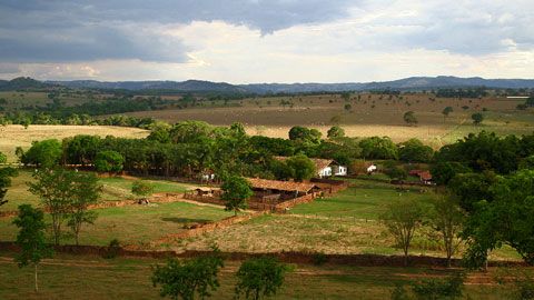 Thumbnail image for La cuisine du Cerrado