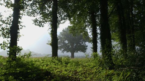 Thumbnail image for De pères en fils