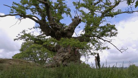 Thumbnail image for Les racines de l'enfance