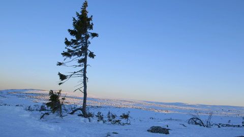 Thumbnail image for Les vainqueurs du temps