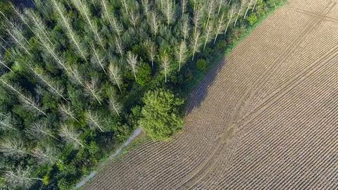 Thumbnail image for Les dieux de la nature