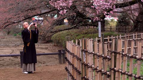 Thumbnail image for Les immortels