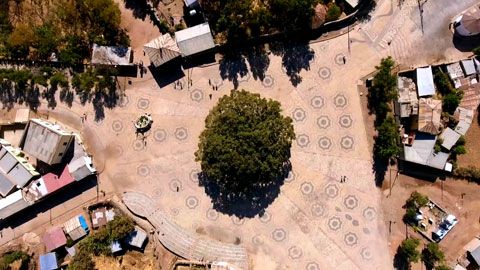 Thumbnail image for Les sacrés