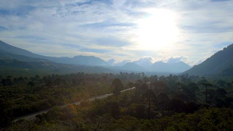 Thumbnail image for Les vénérables