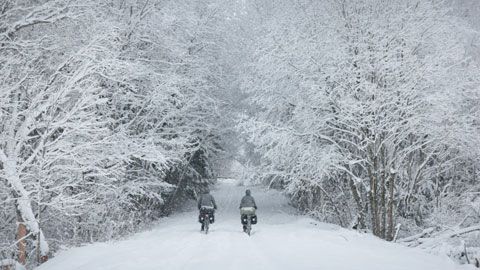 Thumbnail image for Au pays des brumes, un hiver balte