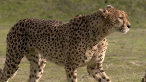 Thumbnail image for Hors des frontières