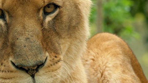 Thumbnail image for Des fissures inquiétantes