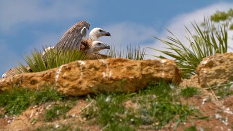 Thumbnail image for Le planning se resserre