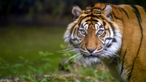 Thumbnail image for Le compte à rebours est lancé