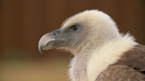 Thumbnail image for Une inauguration sous pression