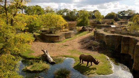 Thumbnail image for Une naissance tant attendue