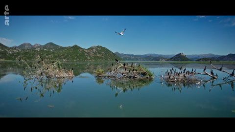 Thumbnail image for Les Balkans