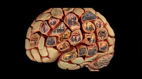 Thumbnail image for 6D Cerveau social conf