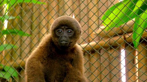 Thumbnail image for L'école de la seconde chance