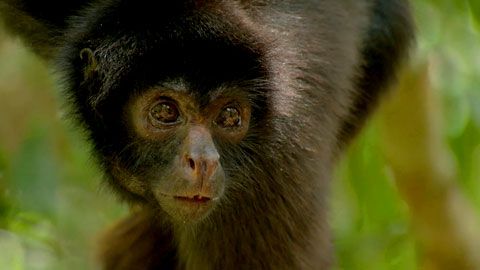 Thumbnail image for Un nouveau monde