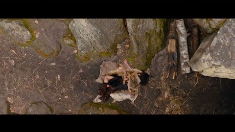 Thumbnail image for Le mystère de l'homme de Denisova