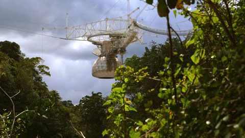Thumbnail image for Arecibo, un téléscope dans la jungle