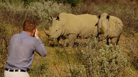 Thumbnail image for Namibie, le safari céleste
