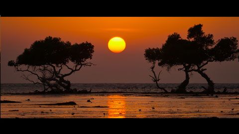 Thumbnail image for Horizon