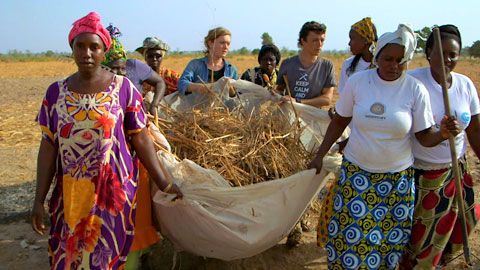 Thumbnail image for Sénégal, Toubacouta