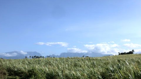 Thumbnail image for L'expérience de l'autre