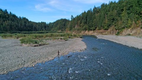 Thumbnail image for Le retour du fleuve Elwha