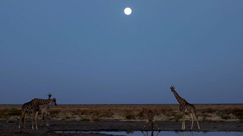 Thumbnail image for De la Terre à la Lune