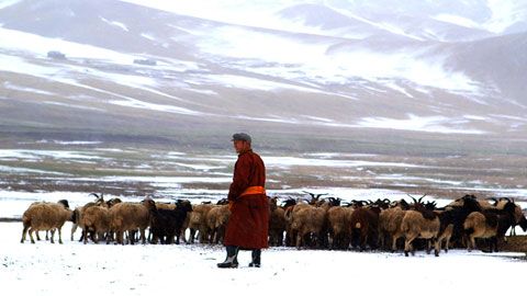 Thumbnail image for Mongolie, Au-delà des steppes