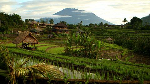 Thumbnail image for L'île des balians