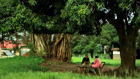 Thumbnail image for La vie au bout des doigts