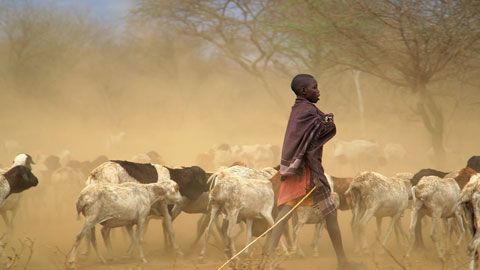 Thumbnail image for Des hommes et des volcans