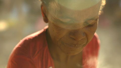 Thumbnail image for Madagascar, l'esprit des plantes