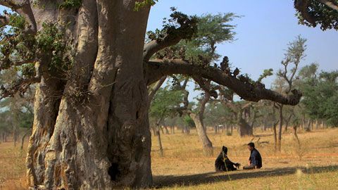 Thumbnail image for Sénégal, la rencontre des médecines