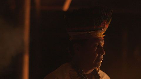 Thumbnail image for Colombie, la plante sacrée d'Amazonie