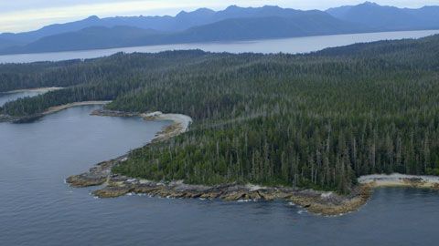 Thumbnail image for Canada - Haida Gwaii, la terre du peuple