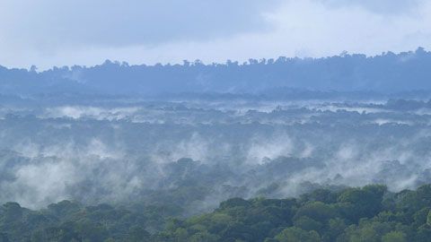 Thumbnail image for Guyane française, médecine tropicale sur le Maroni