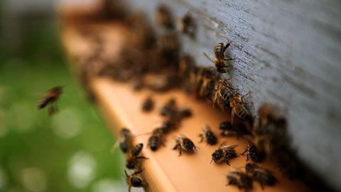 Thumbnail image for La Bretagne magique