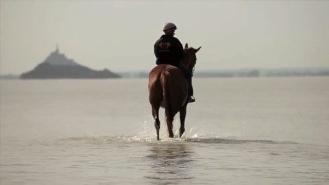 Thumbnail image for La baie du Mont-Saint- Michel