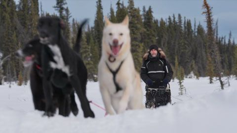 Thumbnail image for Musher