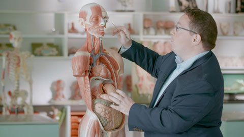 Thumbnail image for Bien nourrir son cerveau