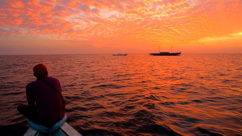 Thumbnail image for Les bugis - Danse avec les requins-baleine
