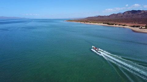 Thumbnail image for Les Comcáac - La mémoire d'une île