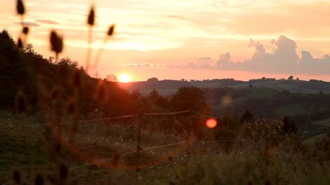 Thumbnail image for L'éveil de la permaculture