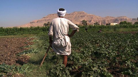 Thumbnail image for Je suis le peuple